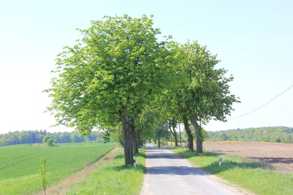 (Foto: ZALF / Michael Glemnitz)