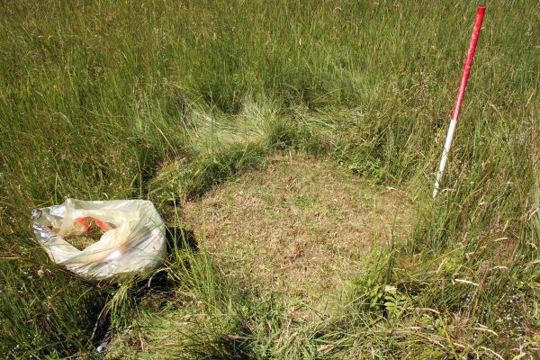 Biomasseprobennahme auf einer Graslandmonitoringfläche (O. Brauner)