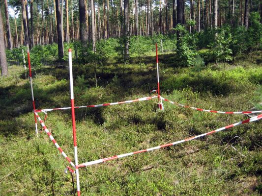 Vegetationsaufnahmequadrat auf der Waldmonitoringfläche W18 – in Beobachtung seit 2000 (ÖUB-Archiv)