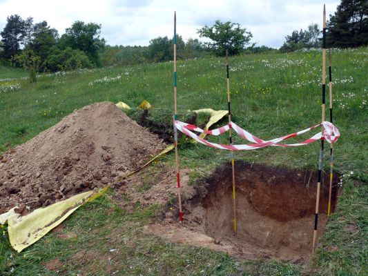 Bodenprofil auf der Graslandmonitoringfläche Trockenweide Liepe (O .Brauner)