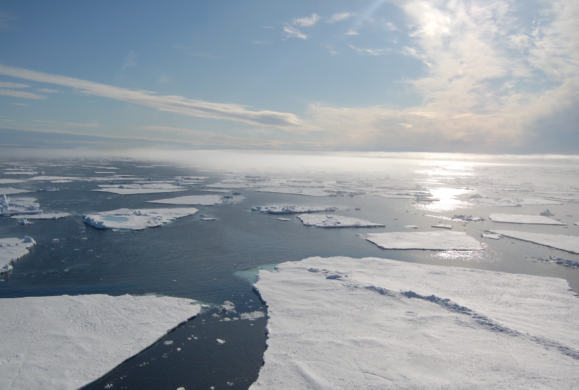 Eismeer (AWI; Soltwedel)