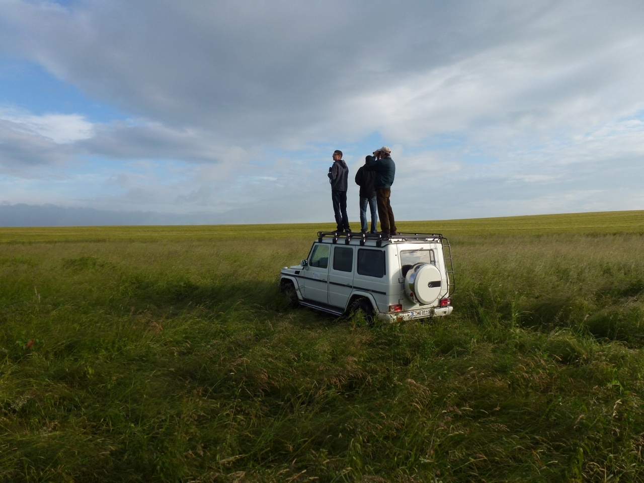 Bird monitoring (UFZ; Frenzel)