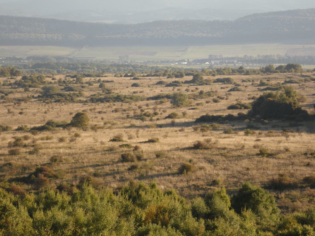 Offenland bei Kindel (Foto: M. Grossmann)