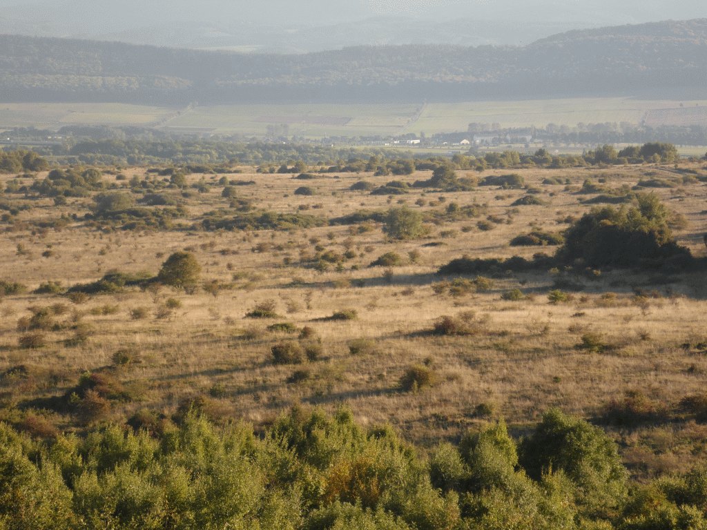 Offenland bei Kindel (Foto: M. Grossmann)