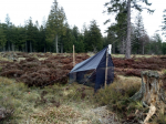 Nationalpark Schwarzwald - Bergheide (Foto: J. Buse)