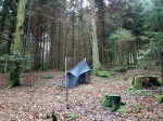 Nationalpark Schwarzwald - Bergmischwald (Foto: J. Buse)