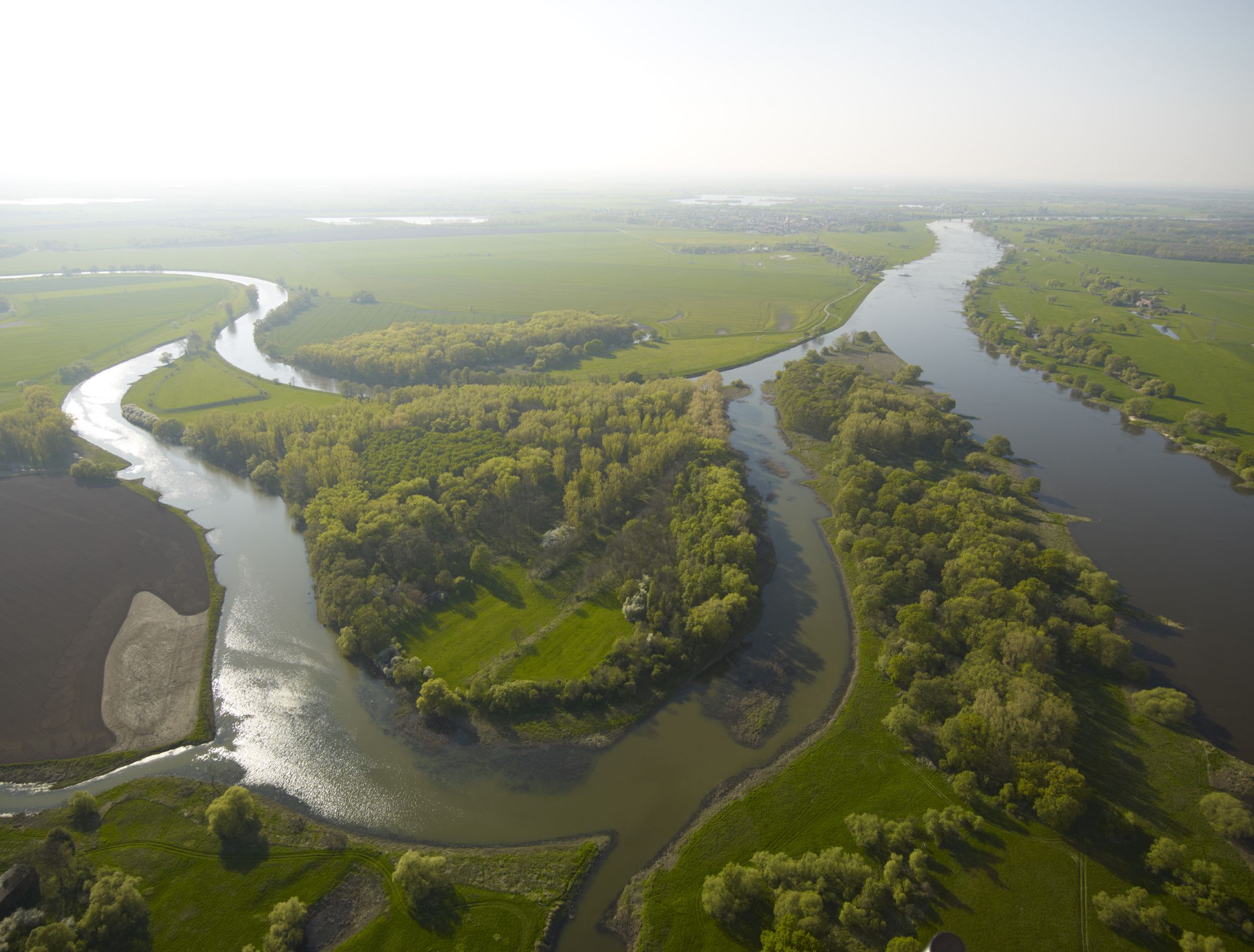 Foto: UFZ / A. Künzelmann
Saalemündung in die Elbe