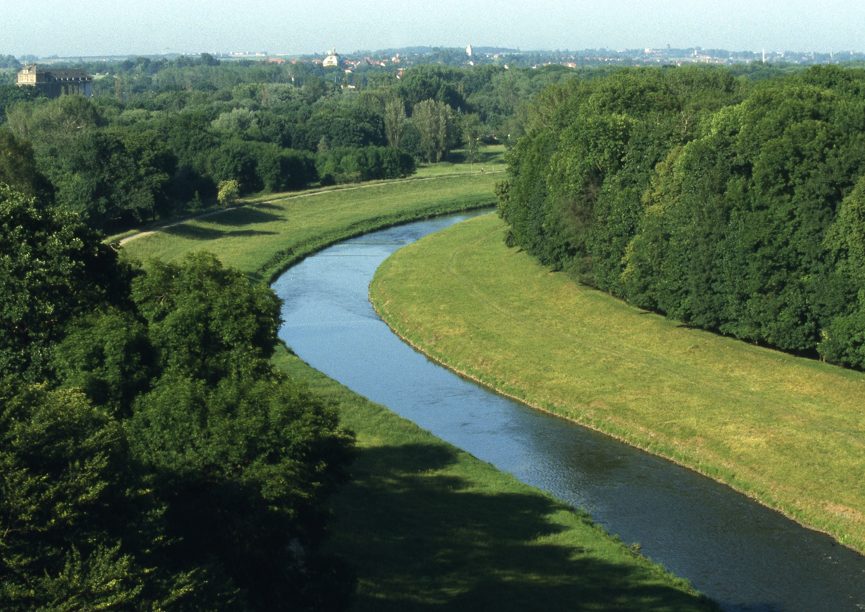 Nahle im Leipziger Auwald
Foto: UFZ / A. Künzelmann