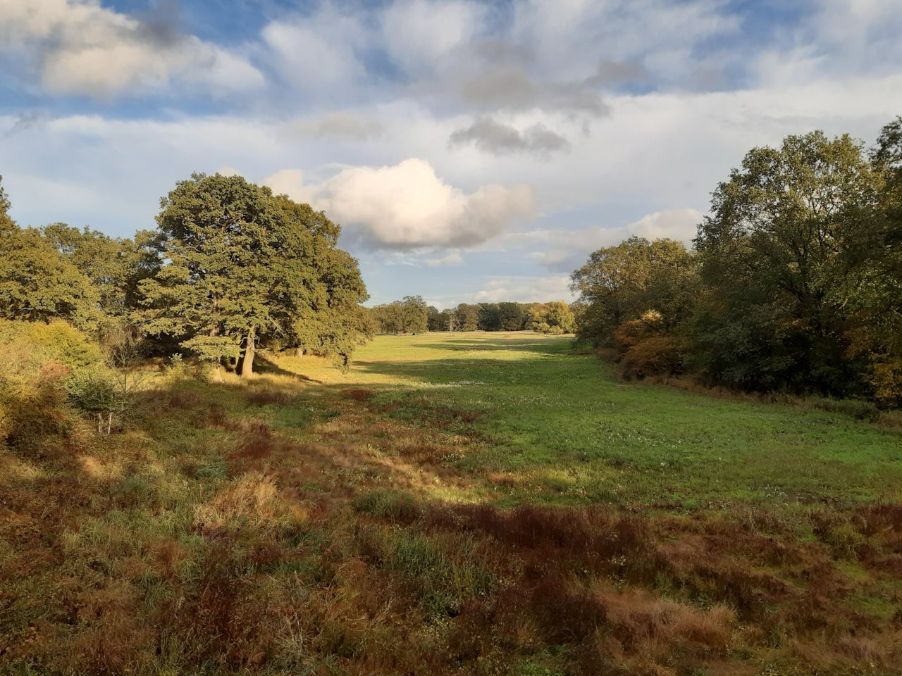 Rosllauer Oberluch - Deichöffnung - Sepmber 2019, Foto: Mathias Scholz