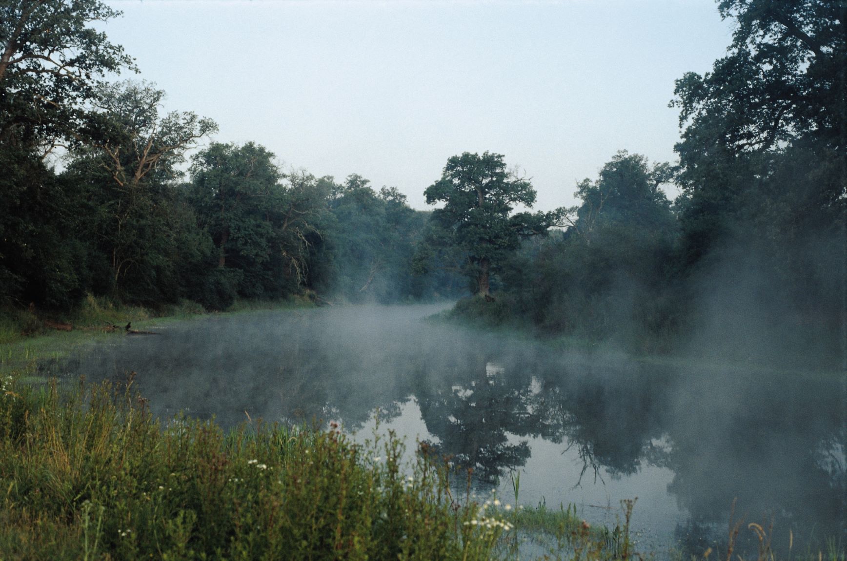 Altarm, Ohlberg, Mittelelbe, Foto: Mathias Scholz