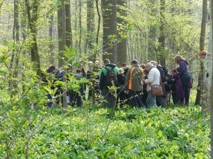 Exkursion im Leipziger Auwald, Foto: Mathias Scholz