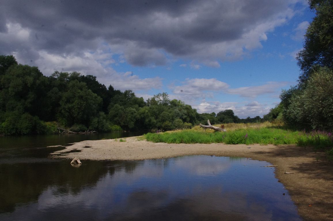 Untere Mulde, Kiesbank, Jagdbrücke - Dessau, Foto: Mathias Scholz