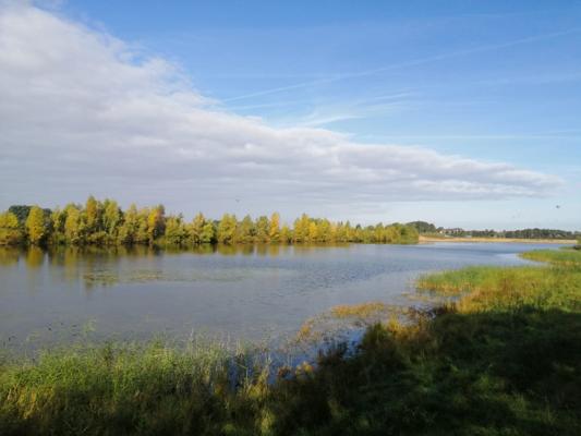 Der Baggersee Reeser Meer Norderweiterung. (c) Dominik Scepanski