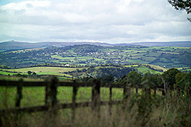 Wiesen und Weiden in Dartmoor, England (André Künzelmann/UFZ)