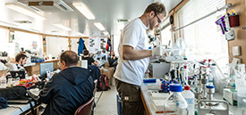 Das Labor auf dem Forschungsschiff Argus. Foto: Foto: André Künzelmann/UFZ Das Labor auf dem Forschungsschiff Argus. Foto: Foto: André Künzelmann/UFZ