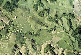 Die Luftaufnahme zeigt Waldfragmente des Brasilianischen Atlantischen Regenwaldes im Nordosten Brasiliens. Foto: Mateus de Dantas de Paula