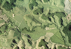 Shown are forest fragments of the Brazilian Atlantic Forest in the North-East of Brazil, surround by sugar cane plantations. Photo: Mateus de Dantas de Paula