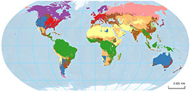 LSA Map