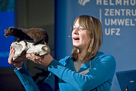 Wissenschaft verstehen 2008. Der Amerikanische Mink (<i>Mustela vison</i>) stand im Zentrum von Elke Schüttlers Vortrag. Wissenschaft verstehen 2008. Der Amerikanische Mink (Mustela vison) stand im Zentrum von Elke Schüttlers Vortrag.