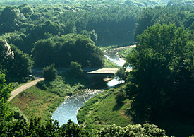 Luppe im Leipziger Auwald