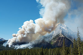 Waldbrand in den Rocky Mountains in Kanada.