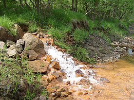 Arsenhaltiges Sickerwasser in Tailings der Zinnerzaufbereitung