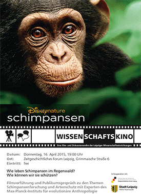 Wissenschaftskino Leipzig - Film Schimpansen