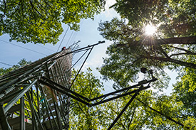 Das Wald-Klima-Observatorium in Sachsen-Anhalt. Foto: André Künzelmann, UFZ