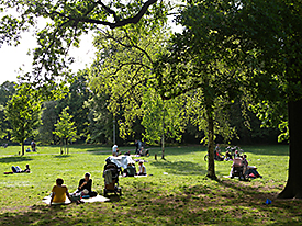 Grünflächen/Park mit Schatten. Foto: Dagmar Haase, UFZ