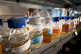 Chemikalien in der Umwelt. Foto: André Künzelmann/UFZ