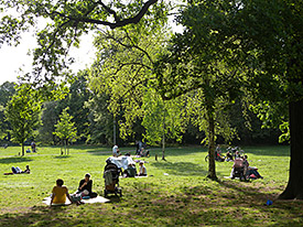 Parks und Grünflächen speichern weniger Wärme als bebaute Flächen. Dagmar Haase, UFZ Parks und Grünflächen speichern weniger Wärme als bebaute Flächen. Dagmar Haase, UFZ