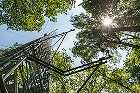 Messungen des UFZ-Wald-Klima-Observatoriums in Sachsen-Anhalt. Foto: André Künzelmann/UFZ