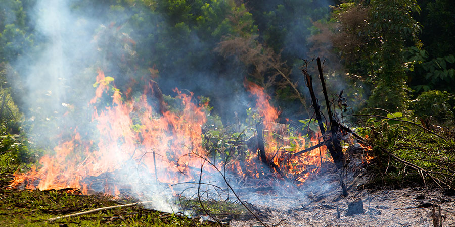 CO<sub>2</sub> wird durch Brandrodung auf landwirtschaftlichen Flächen in Zentral-Vietnam in die Atmosphäre freigesetzt Foto: D. Meinardi