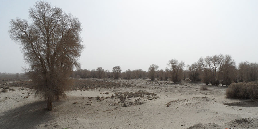 Kimawandel beschleunigt die Wüstenbildung im Tarim-Becken Foto: P. Keilholz