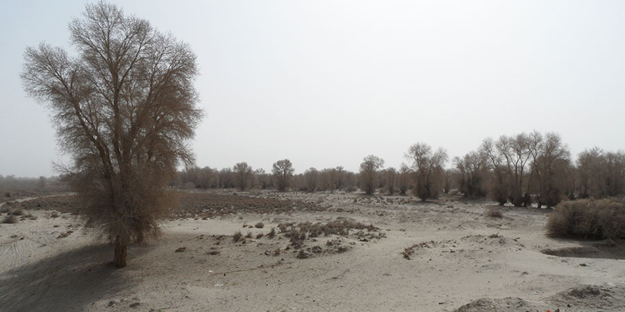 Climate change accelerates desert formation at the Tarim Basin Photo: P. Keilholz