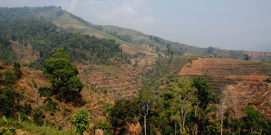 Loss of carbon storage due to deforestation in the Mekong region Photo: M. Cotter