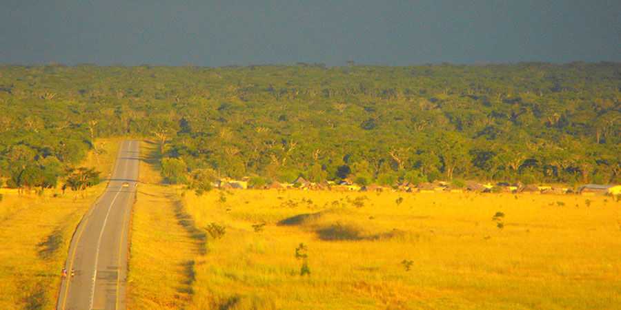 Landnutzungsänderung von Forst zu Weideland in Angola Foto: B. Kowalski