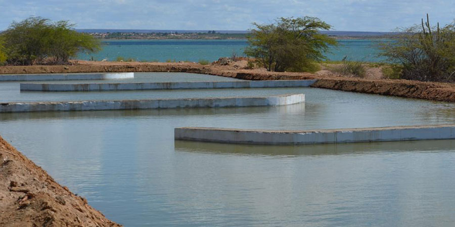 The “Green Liver System” water purification in Brazil Photo: E. Marques