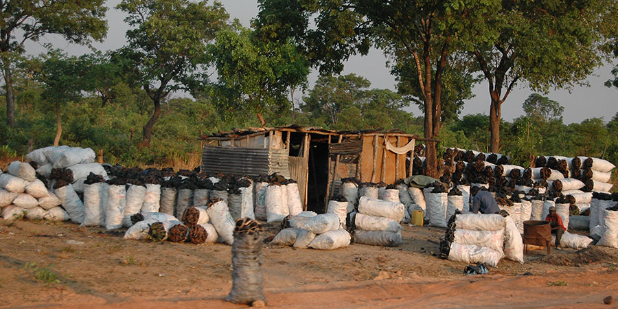 Vom Holz zur Kohle, Angola Foto: M. Finckh