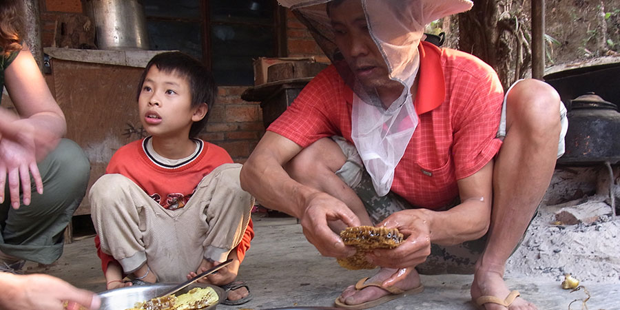 Honigproduktion in der Mekong-Region Foto: P. Oremek