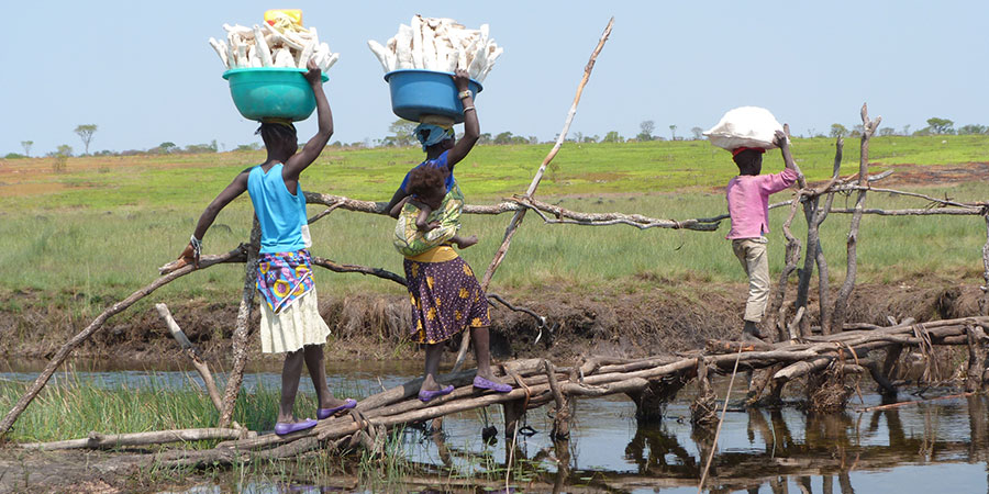 Dorfbewohner in Angola transportieren Maniok Foto: M. Finckh