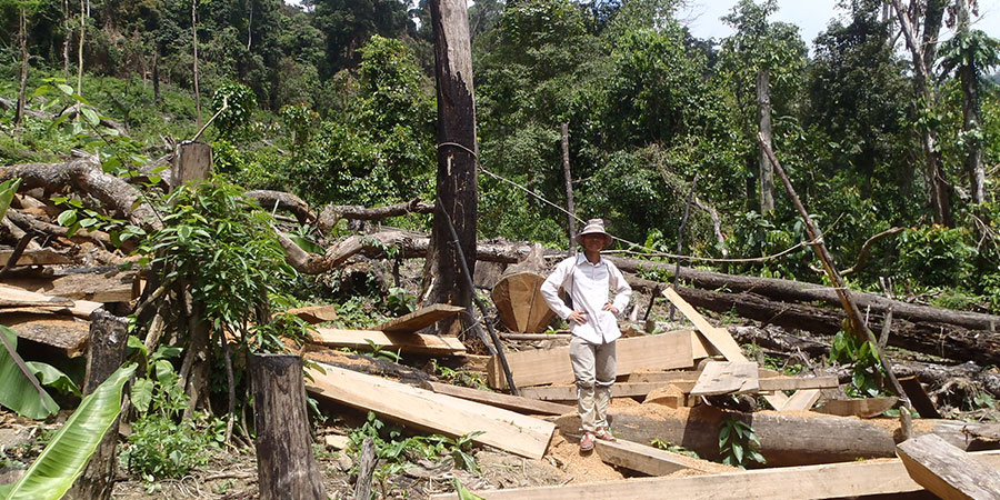 Abholzung hat Konsequenzen für das sozio-ökologische System. Vietnam Foto: M. Schultz