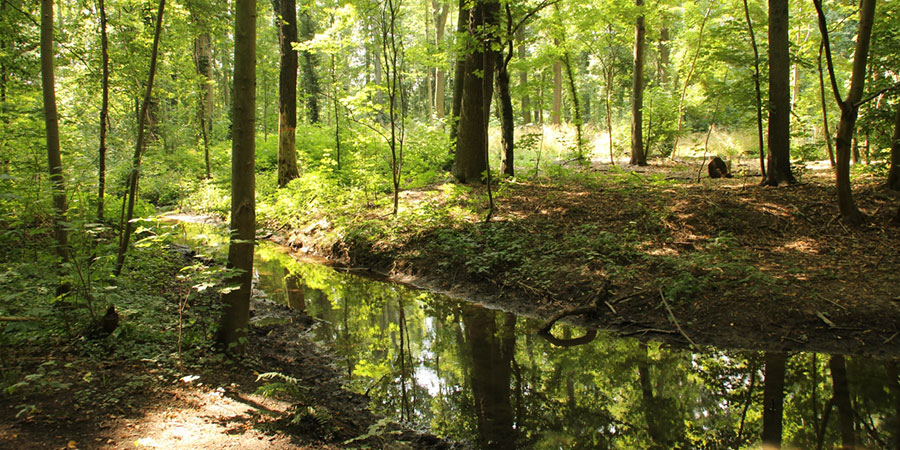 Beauty of nature: Uncertainty of monetary valuation of non-market goods and services Photo: G. Hanke/UFZ