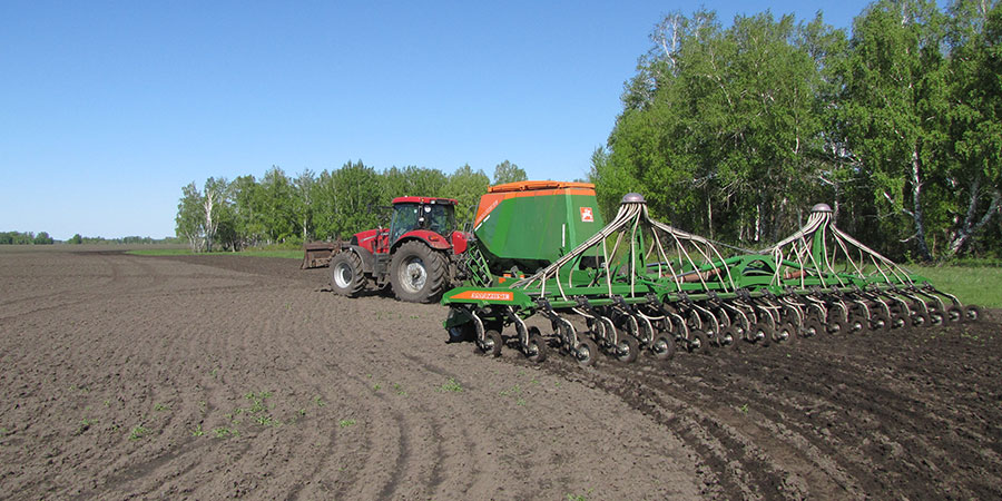 Agriculture expansion creates conflicts between food security and habitat conservation. Siberia Photo: P. Illiger