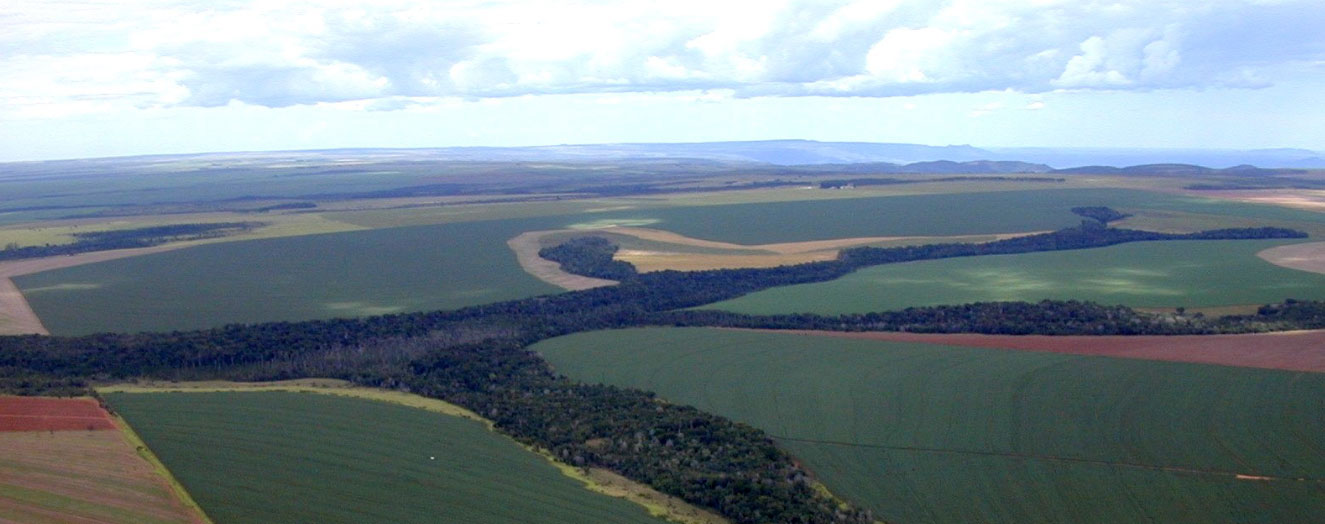 Fragmented landscape with agro-industrial farming (Central Mato Grosso) Photo: G. Gerold