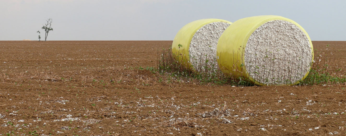 Cotton bales in the cleared agricultural landscape of Central Brazil Photo: S. Hohnwald