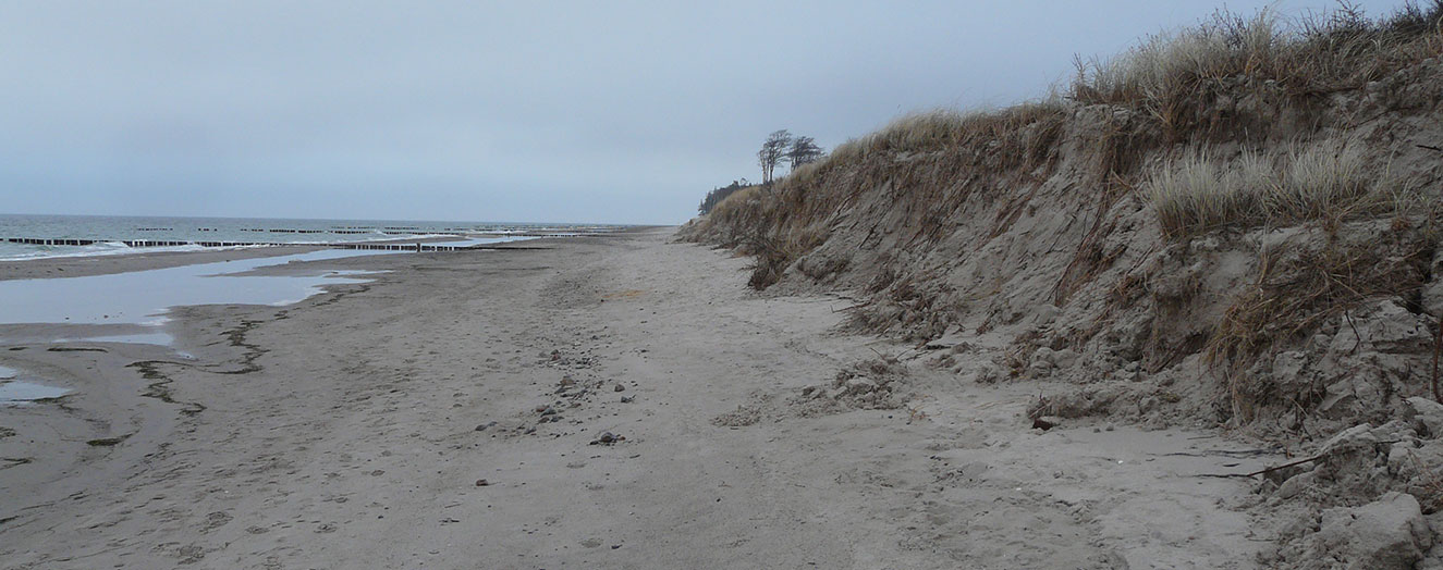 Dune erosion in the 'Heiligensee und Hütelmoor' nature conservation area on the Baltic coast Photo: M. Kleyer