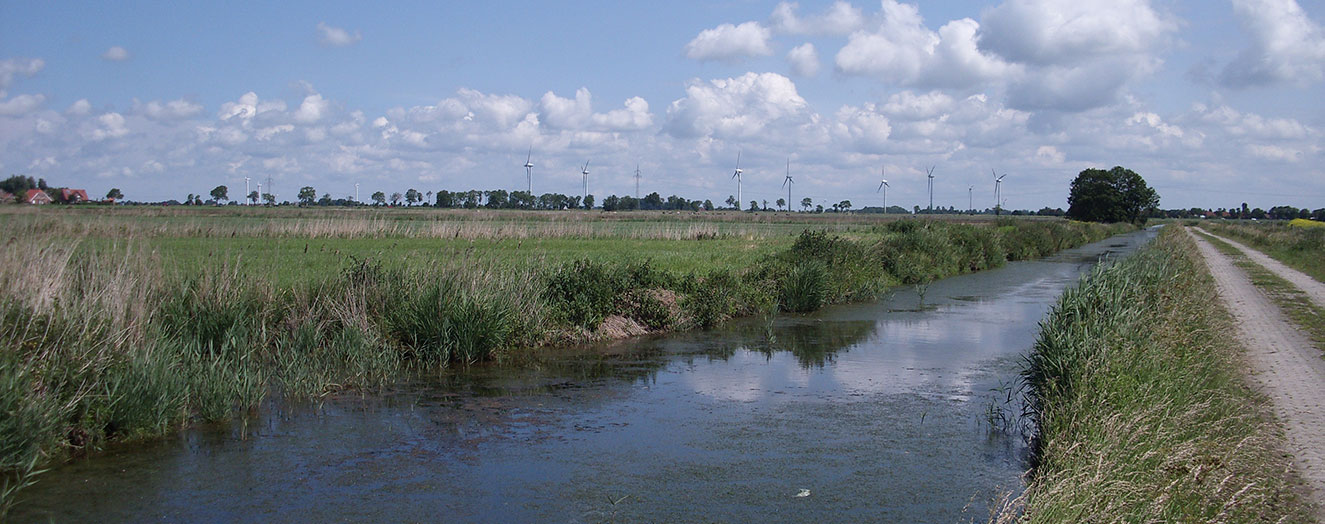 Drainagegräben in Ostfriesland, Nordseeküste Foto: H. Timmermann