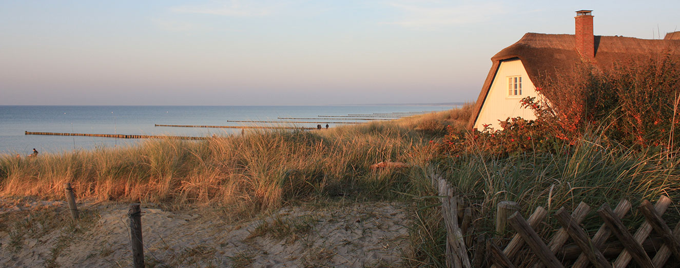 Dunes and beach at Ahrenshoop, Darss-Zingst Photo: H. Timmermann