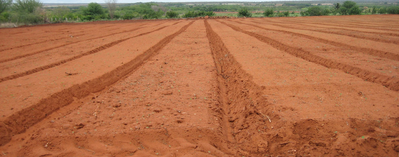 Self-financed installation of improved irrigation infrastructure in Icó-Mandates Photo: M. Siegmund-Schultze